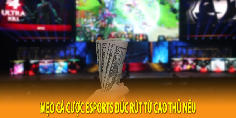 Mẹo cá cược Esports đúc rút từ cao thủ nếu